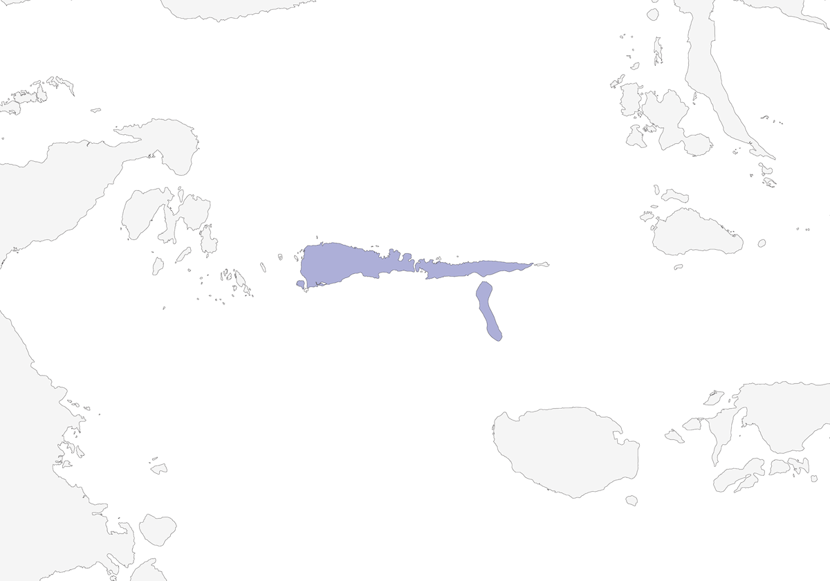 Sula Cicadabird, Distribution 1