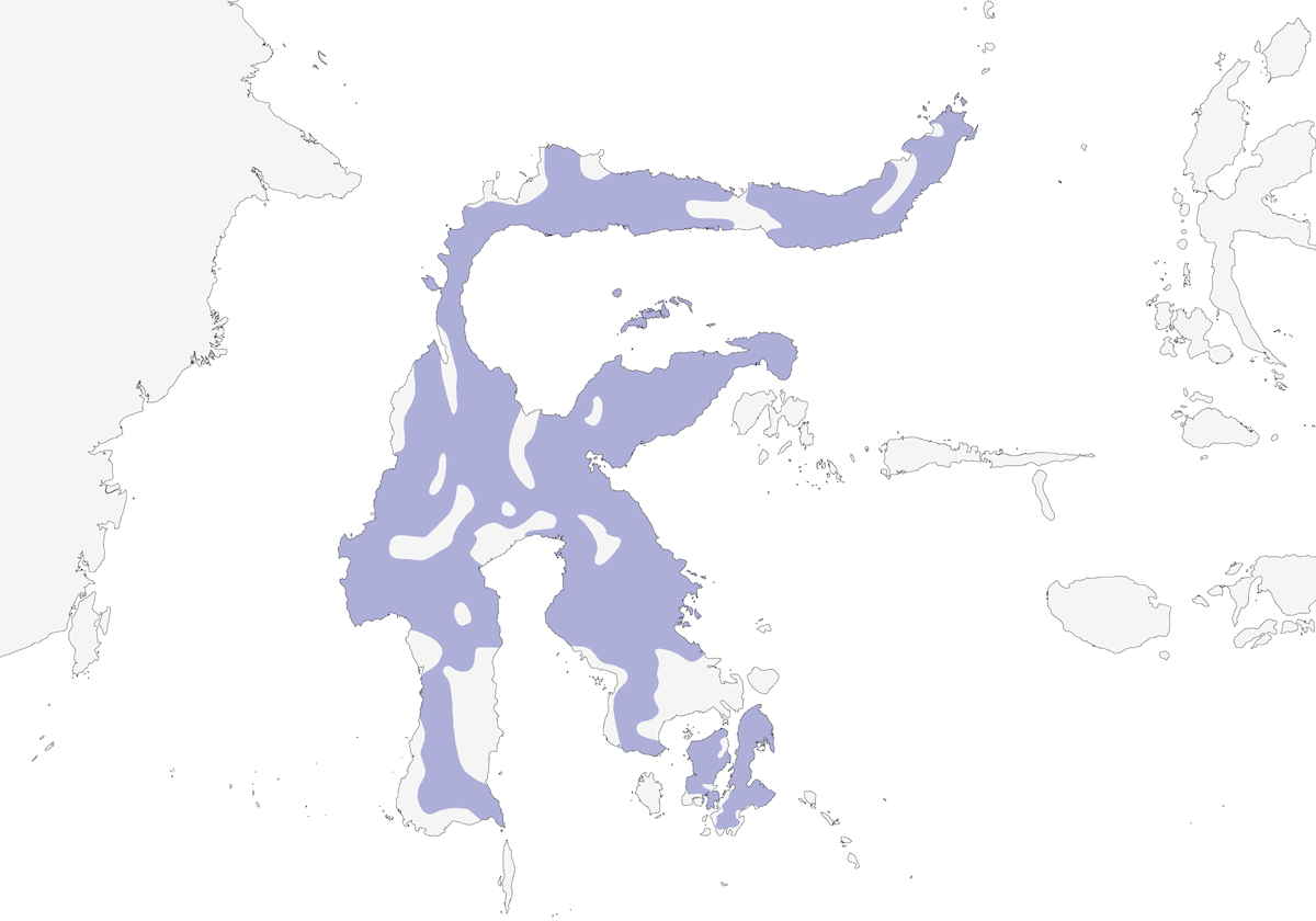 Sulawesi-Habicht, Verbreitung 1