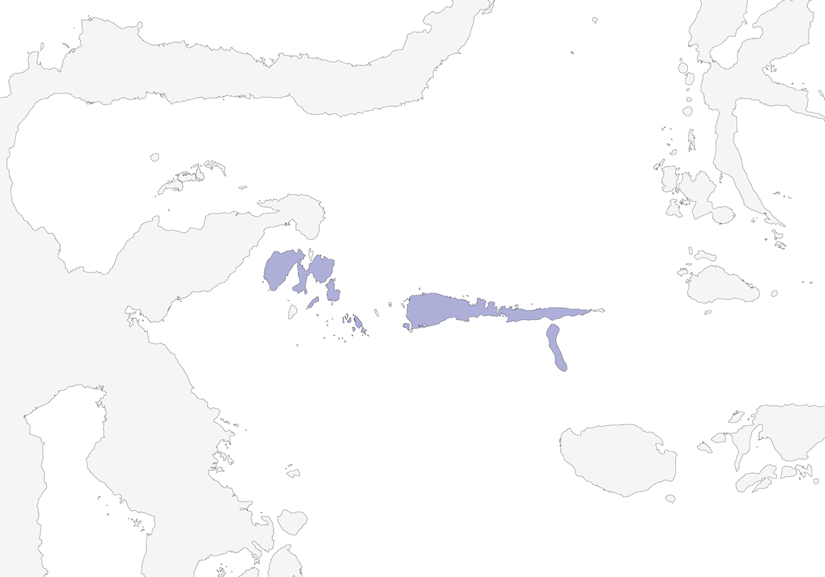 Sula Hanging-Parrot, Distribution 1