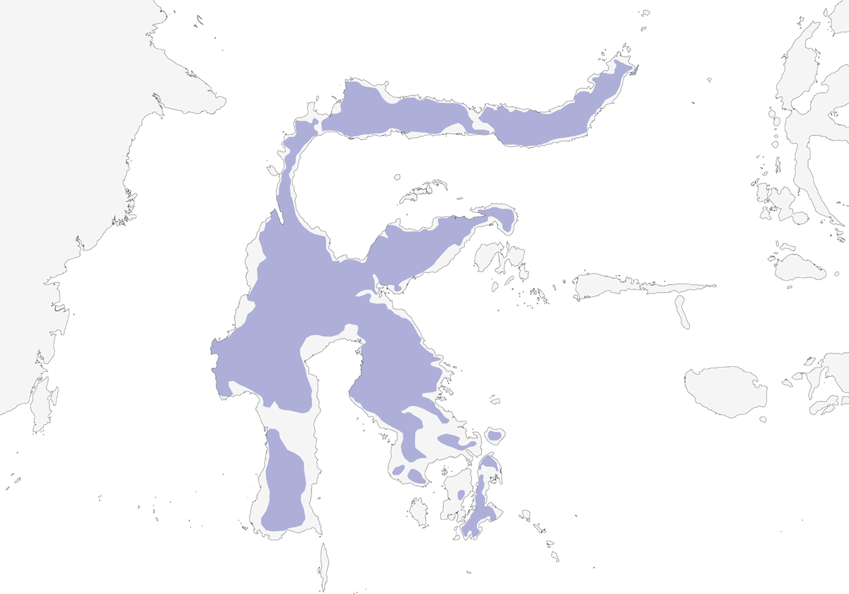 Sulawesi-Jahrvogel, Verbreitung 1