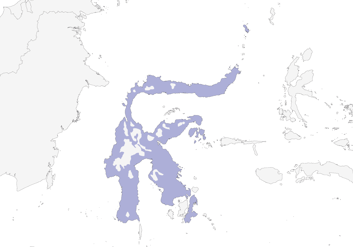 Sulawesi Masked-Owl, Distribution 1