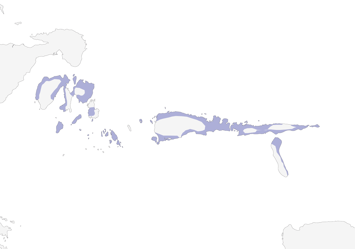 Megapodio delle Sula, Distribuzione 1