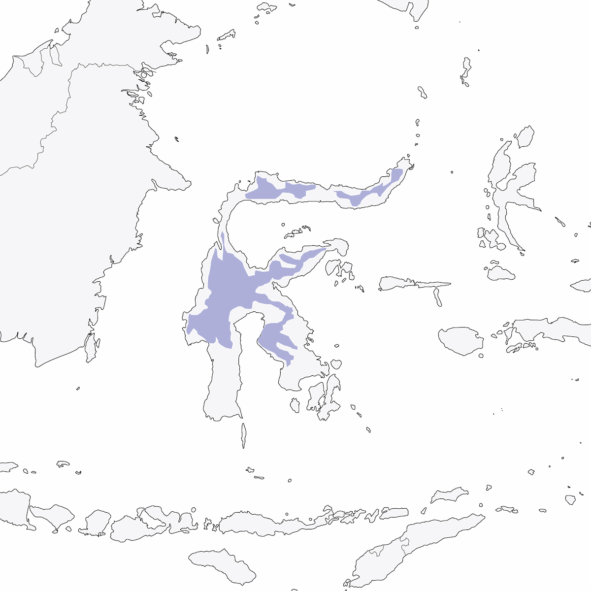 Luì di Sulawesi, Distribuzione 1