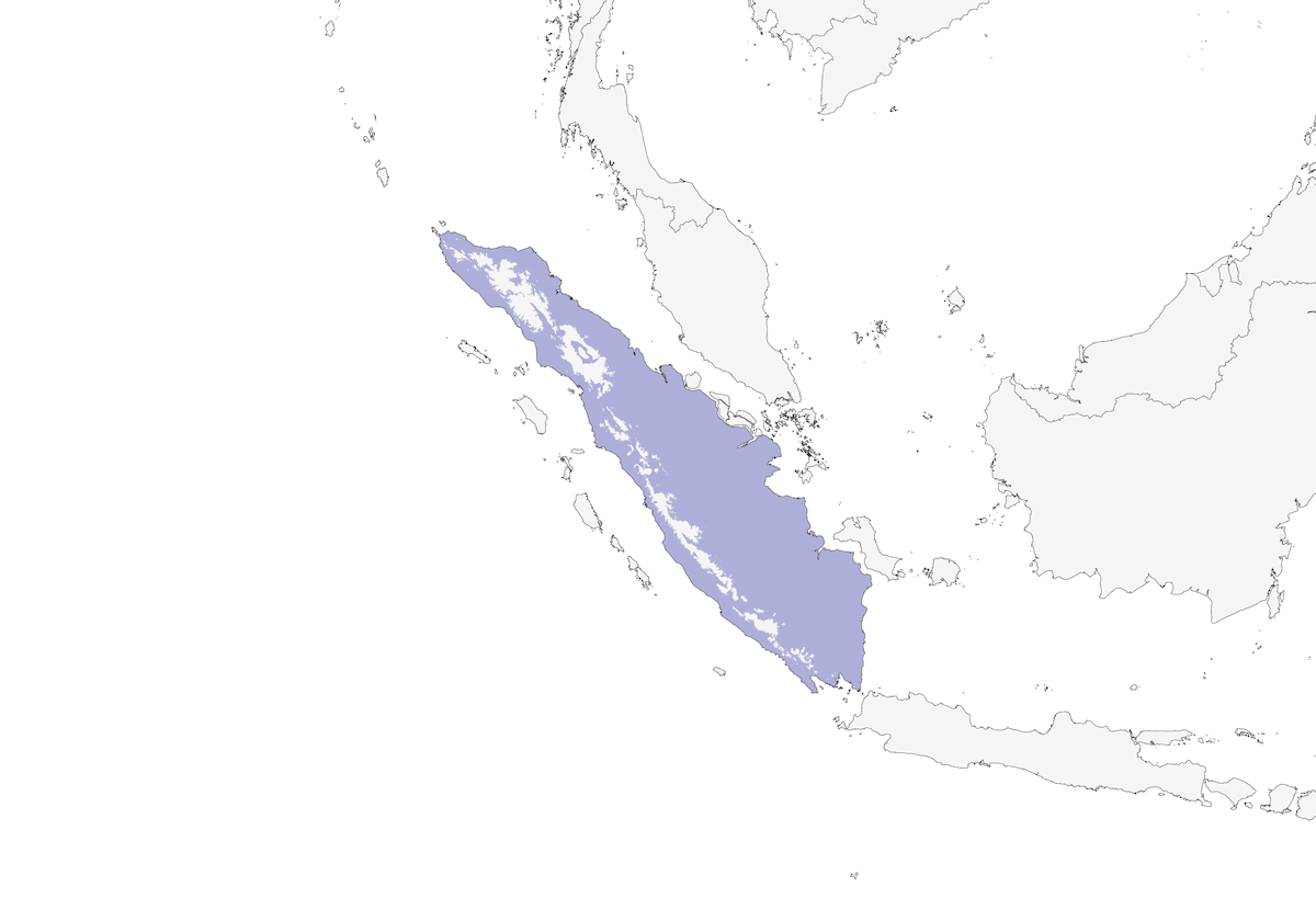 Sumatra-Timalie, Verbreitung 1