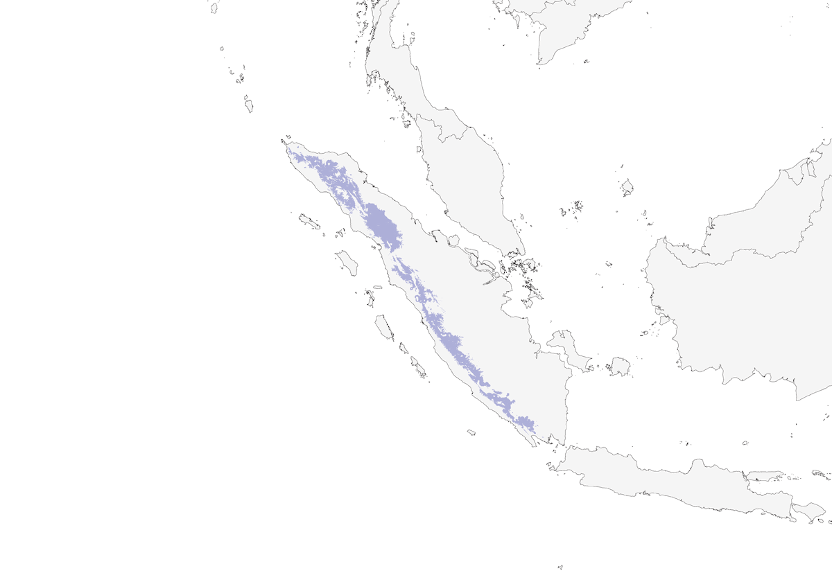 Garrulaxe bicolore, Distribution 1