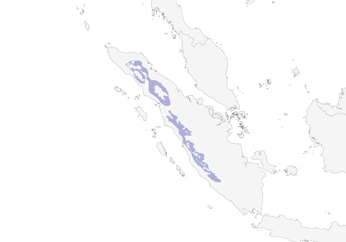 Sumatran Leafbird, Distribution 1