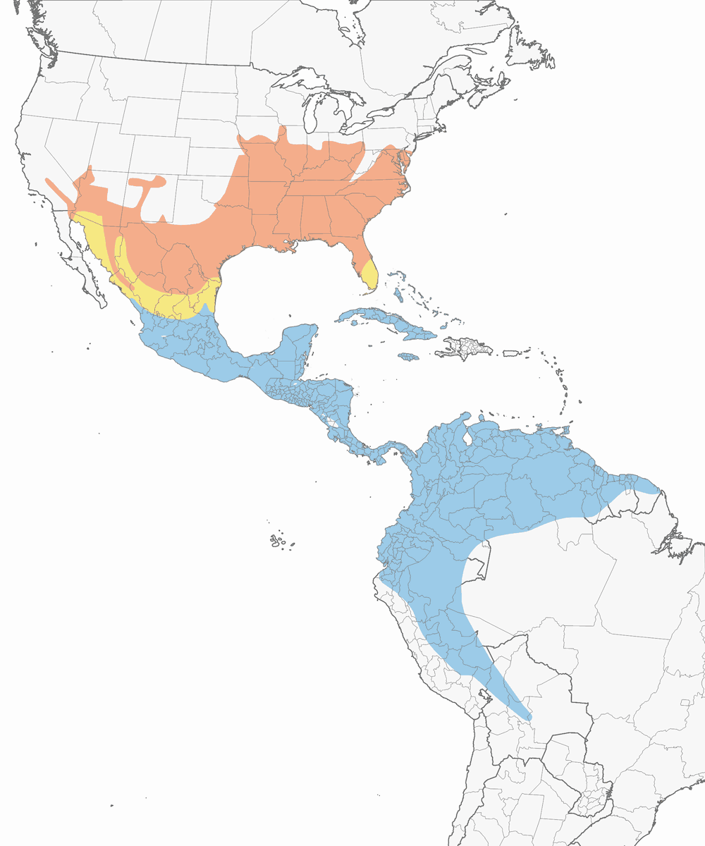 Piranga vermillon, Distribution 1