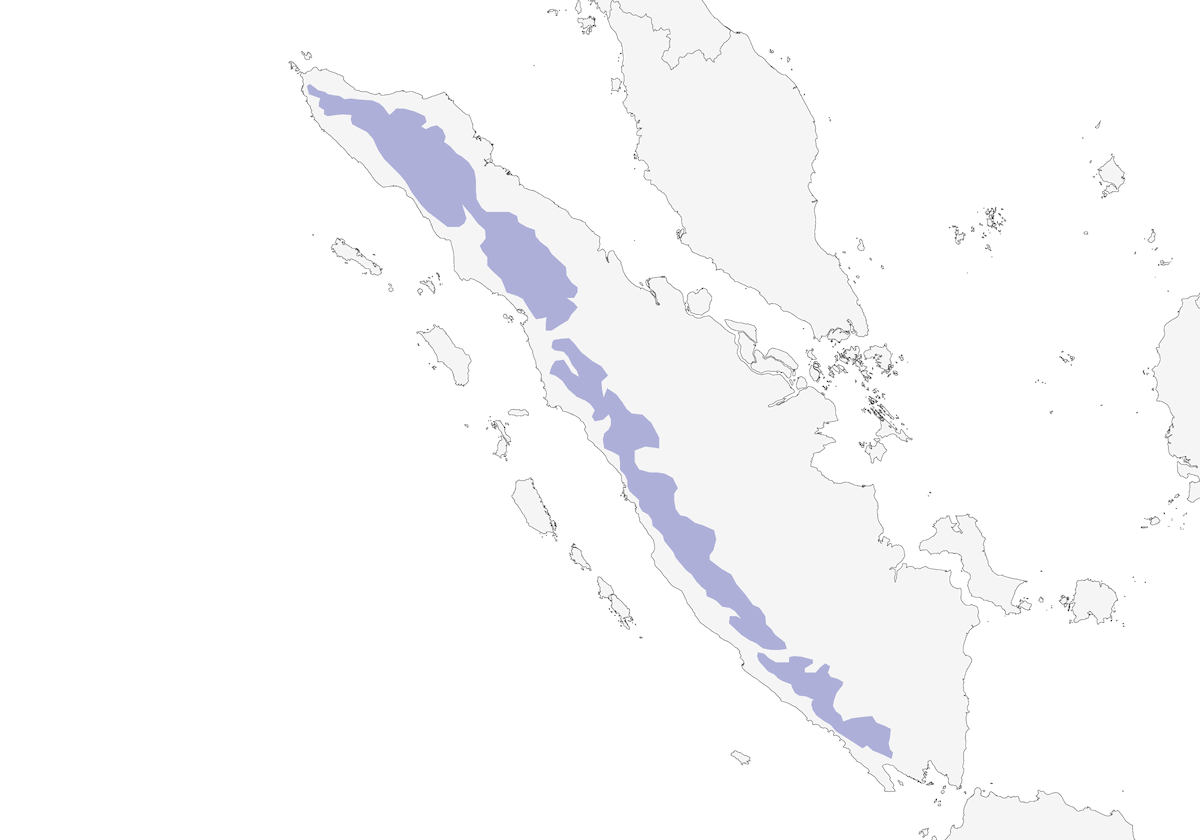 Trogón de Sumatra, Distribución 1