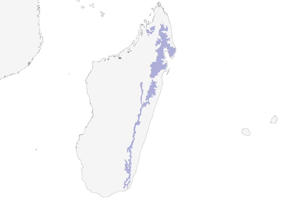 Beccoaculeo comune, Distribuzione 1