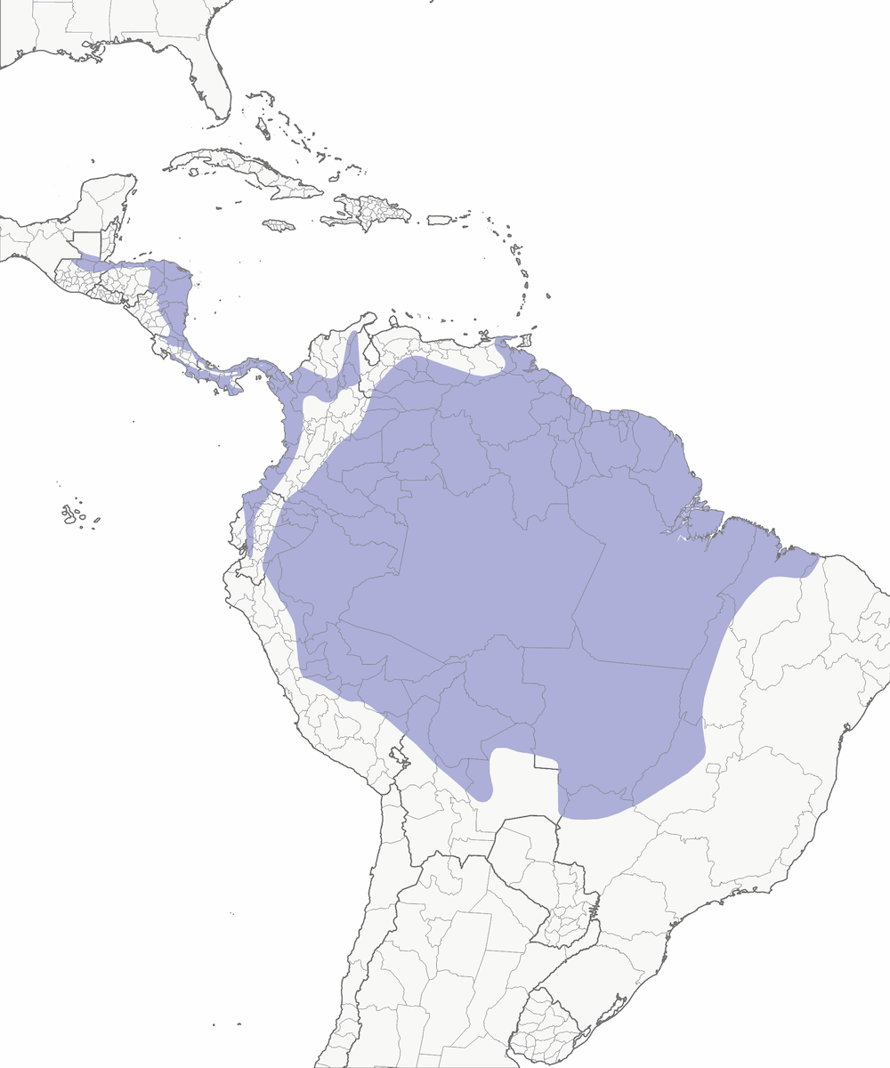 Sunbittern, Distribution 1
