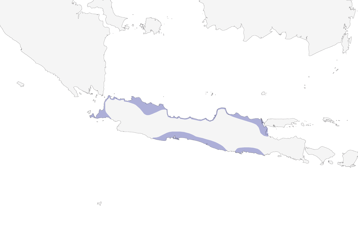 Cucal di Sunda, Distribuzione 1