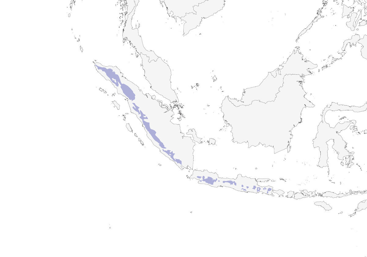 Sunda Forktail, Distribution 1