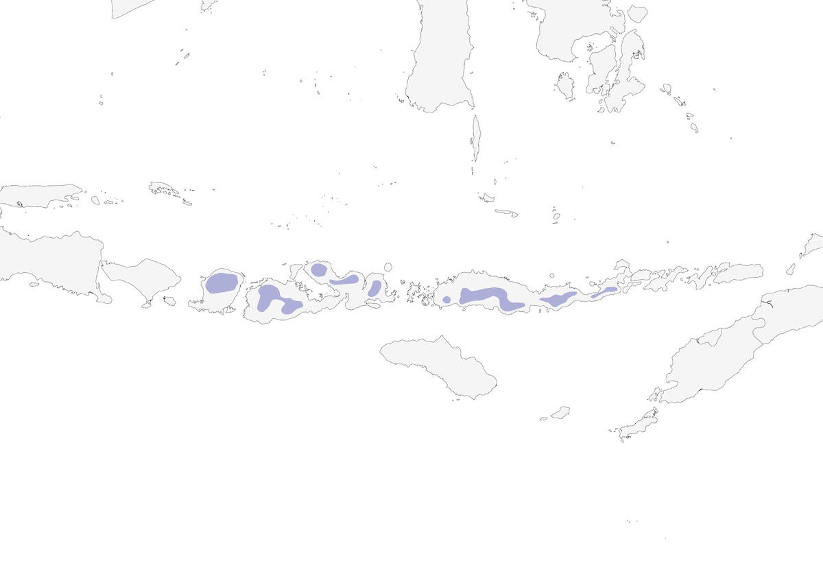 Melífago de la Sonda, Distribución 1