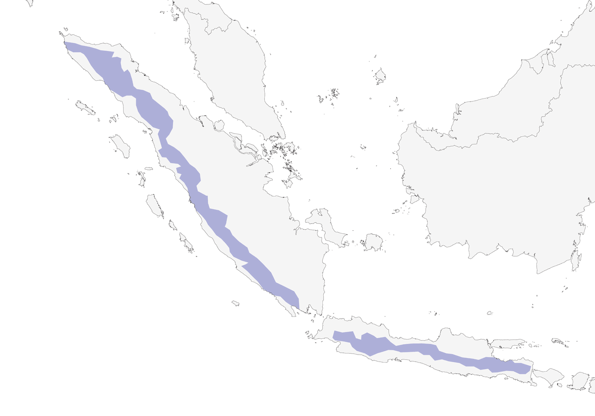 Minivet de la Sonda, Distribución 1