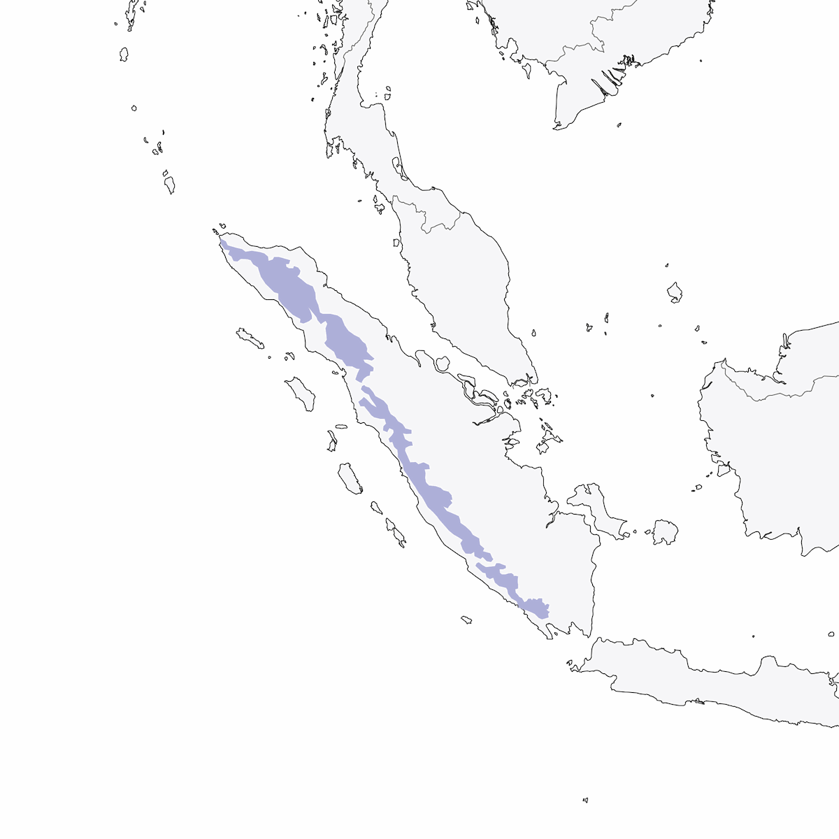 Sumatran Robin, Distribution 1