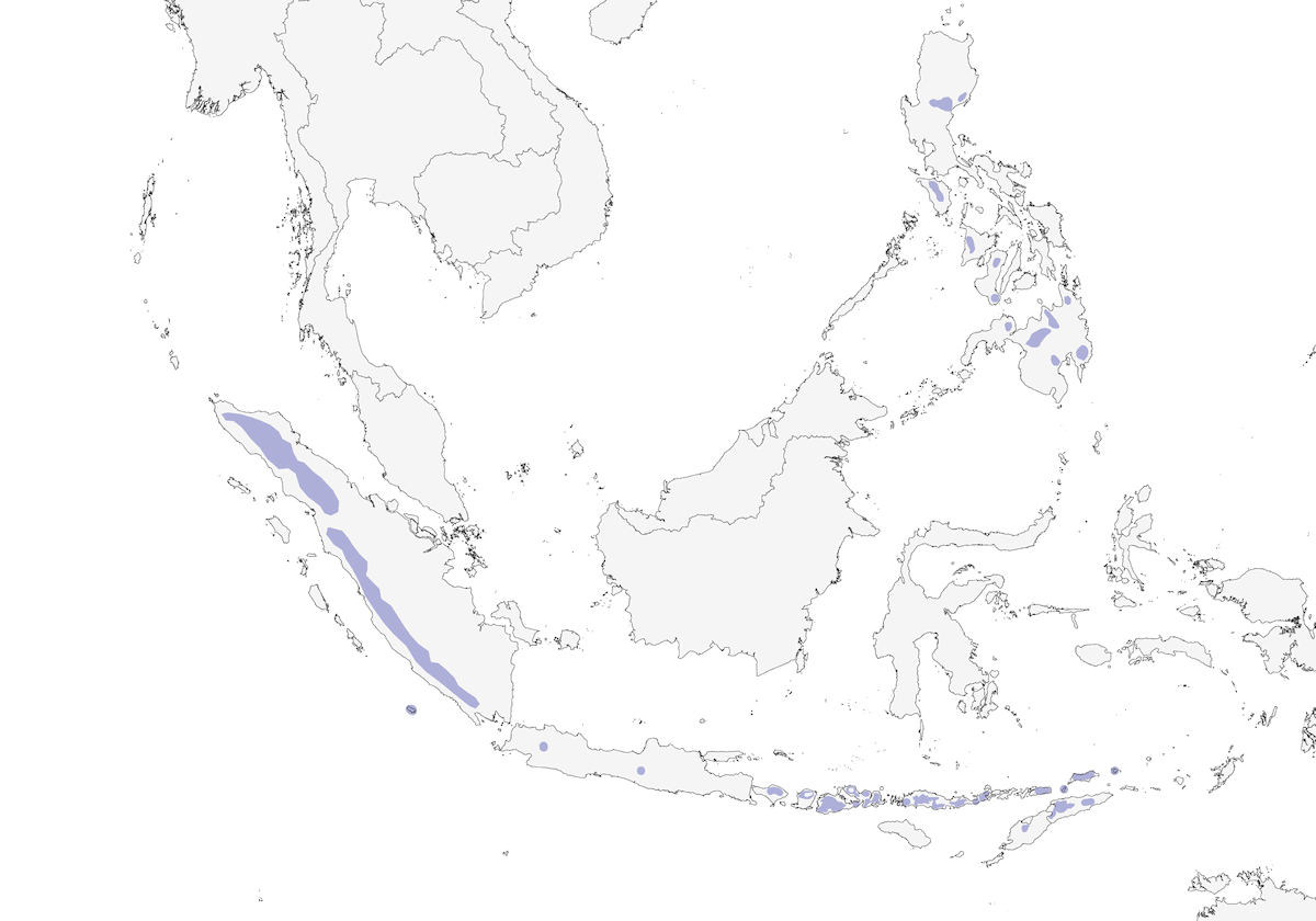 Zorzal de Sumatra, Distribución 1