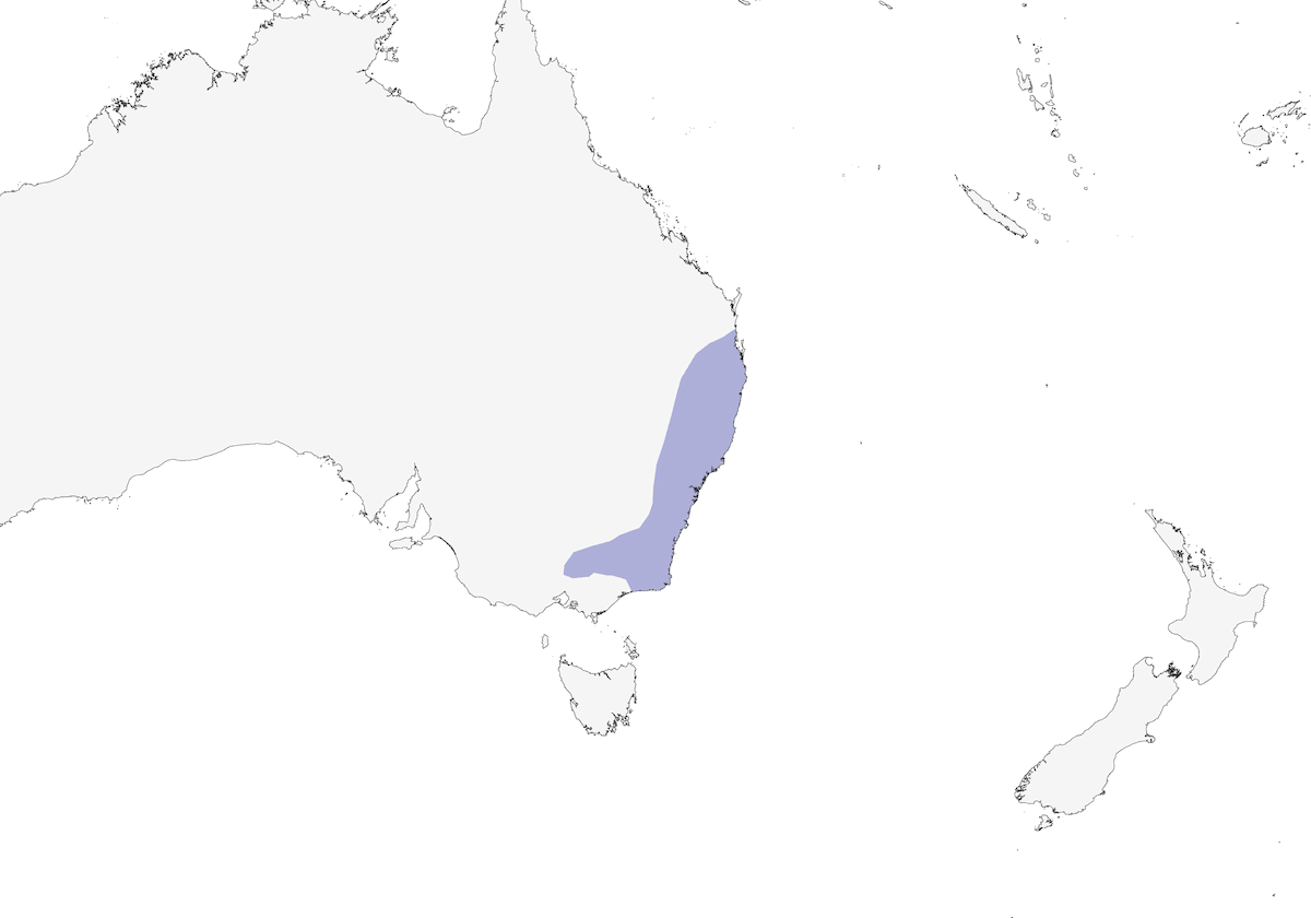 Superb Lyrebird, 分布 1