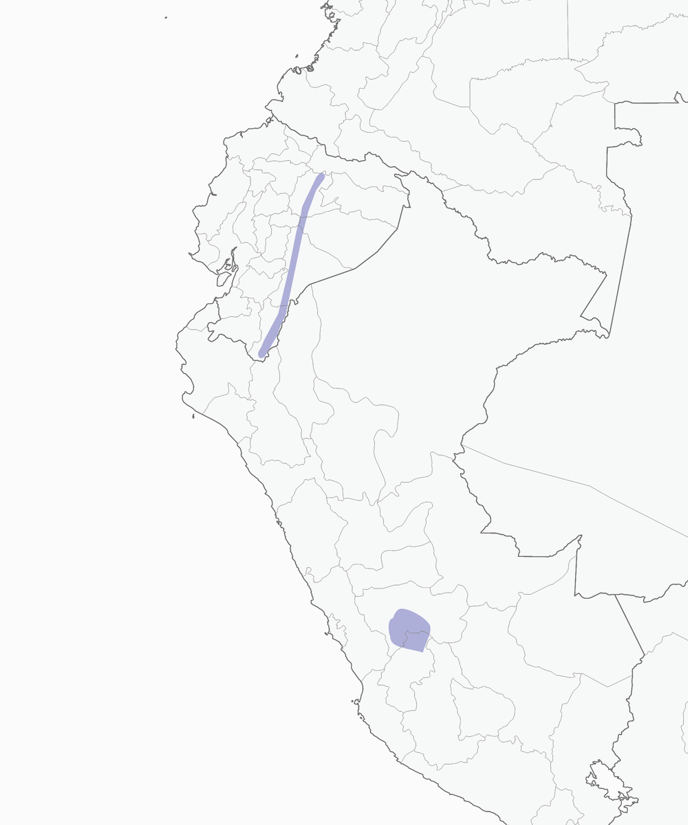 Assiolo pigmeo subtropicale, Distribuzione 1
