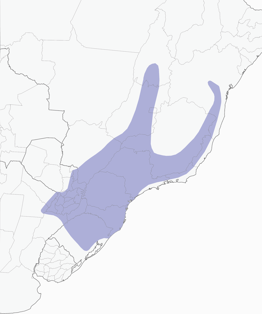 Trogón Surucuá, Distribución 1