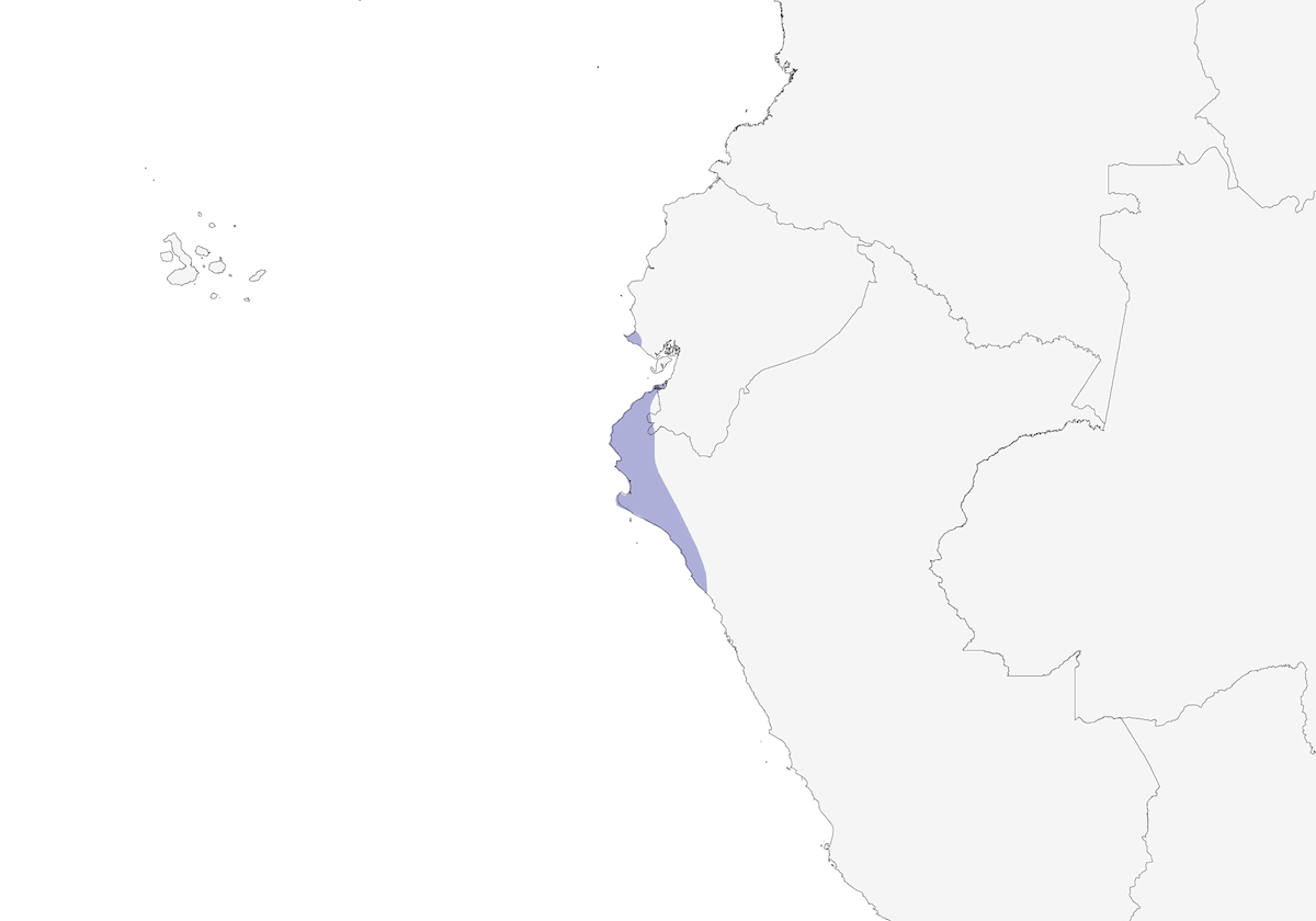 Fringuello dalla gola zolfo, Distribuzione 1