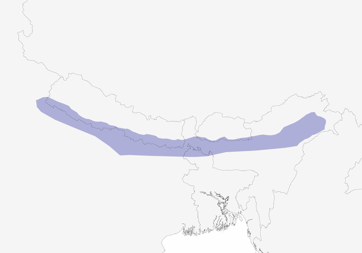 Swamp Francolin, Distribution 1
