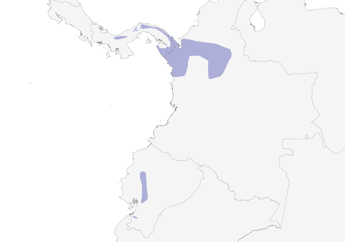 Cercafoglie aliardesia, Distribuzione 1