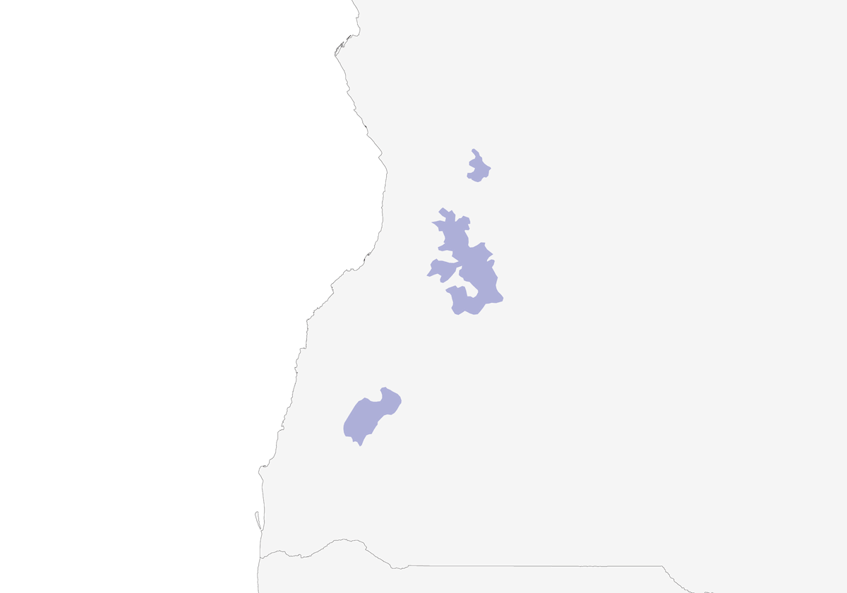 Francolín de Swierstra, Distribución 1