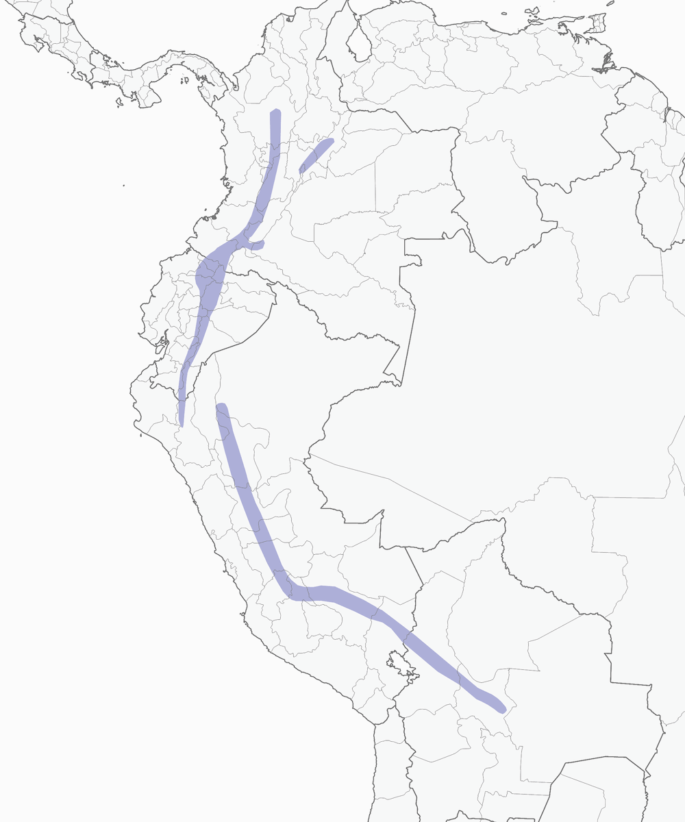 Swallow-tailed Nightjar, Distribution 1