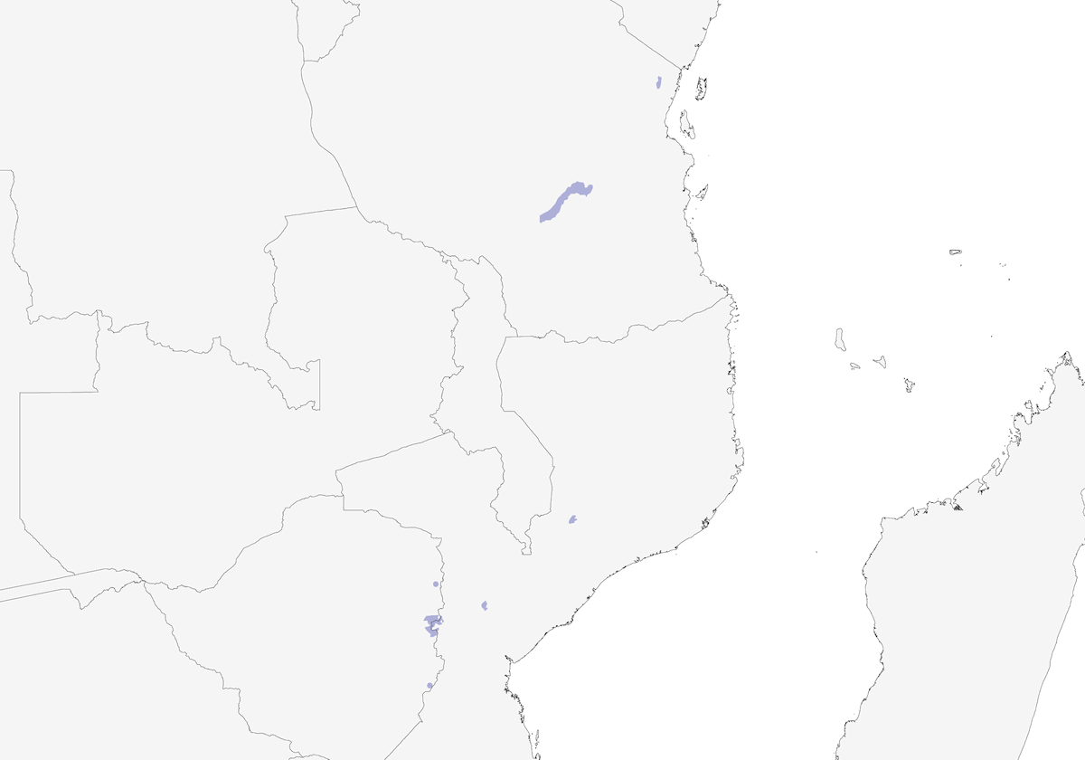 Rougegorge de Swynnerton, Distribution 1