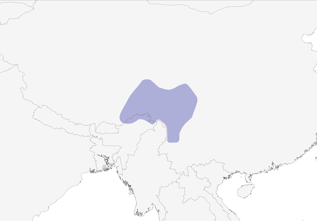 Pernice monale golacamoscio, Distribuzione 1