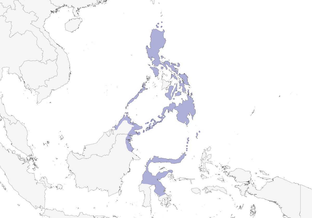 Megápodo filipino, Distribución 1