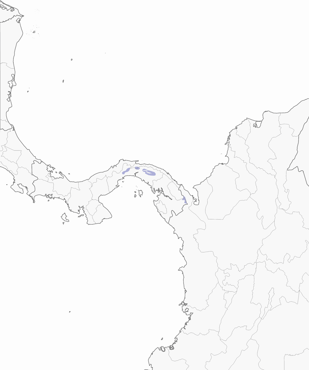 Chlorospingue du Tacarcuna, Distribution 1