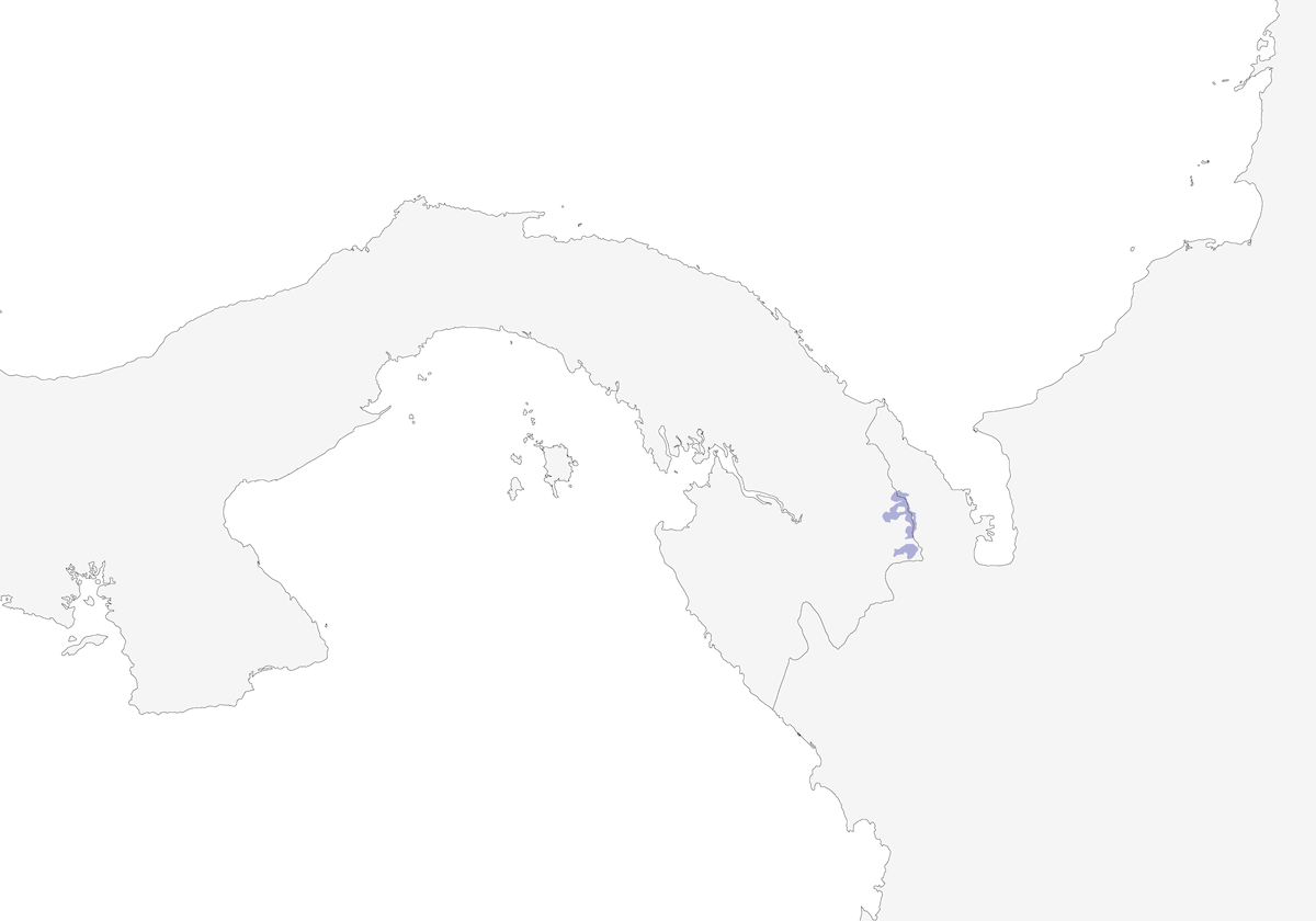 Scitalopo di Tacarcuna, Distribuzione 1