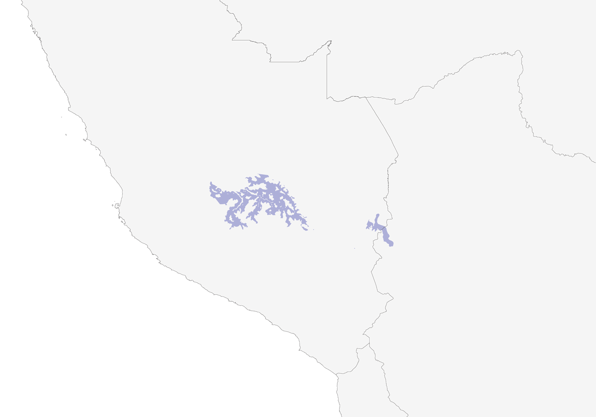 Tinamo de Taczanowski, Distribución 1