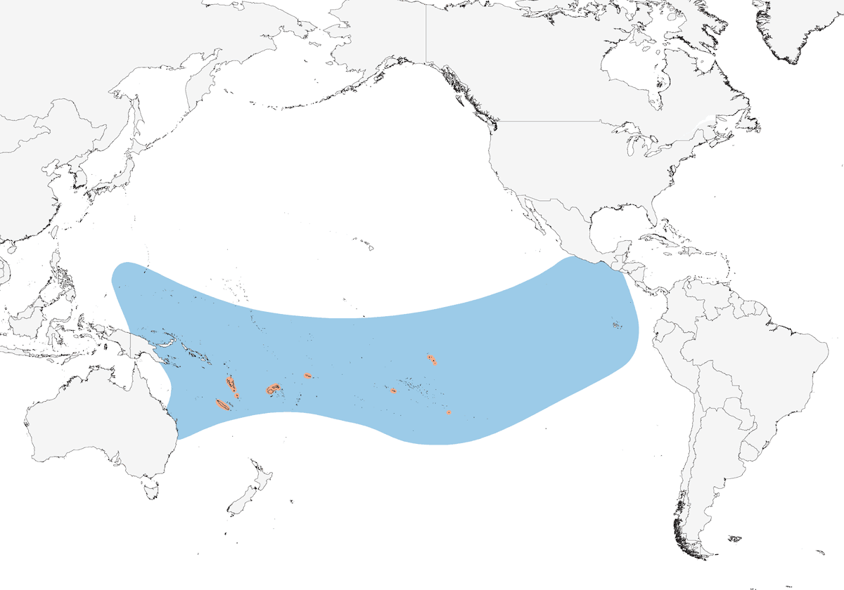 Petrello di Tahiti, Distribuzione 1