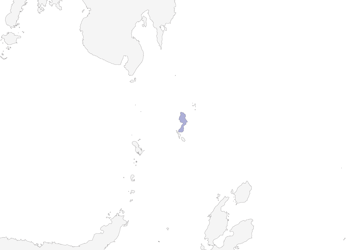 Rallo di Talaud, Distribuzione 1