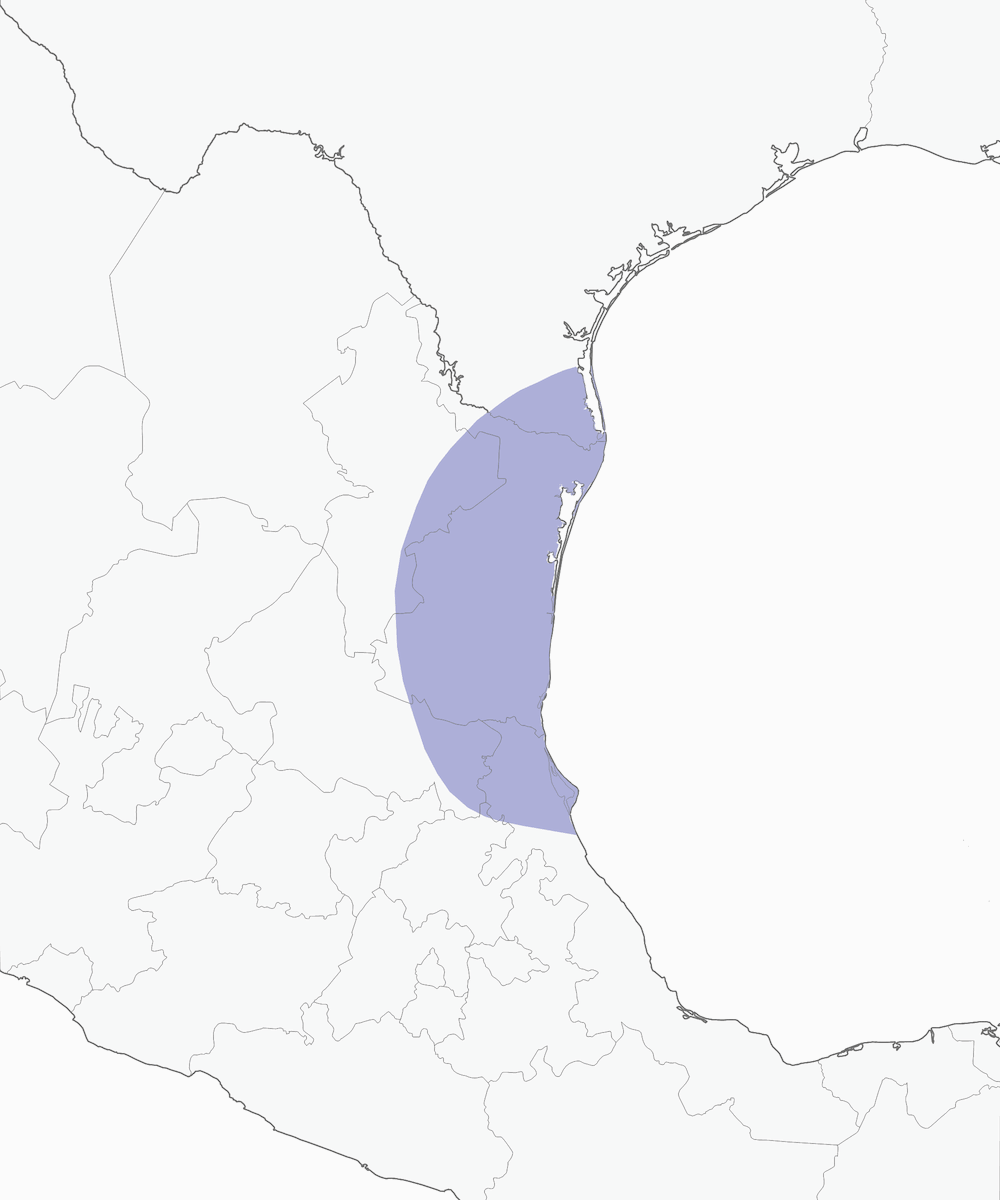 Tamaulipas Crow, 分布 1