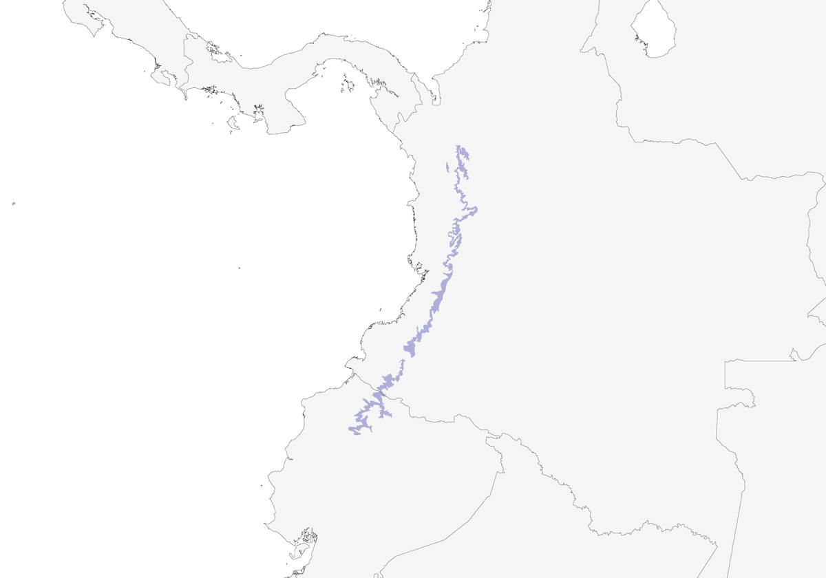 Pinzón Tangara, Distribución 1