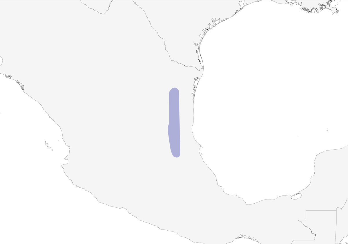 Tamaulipas-Sperlingskauz, Verbreitung 1