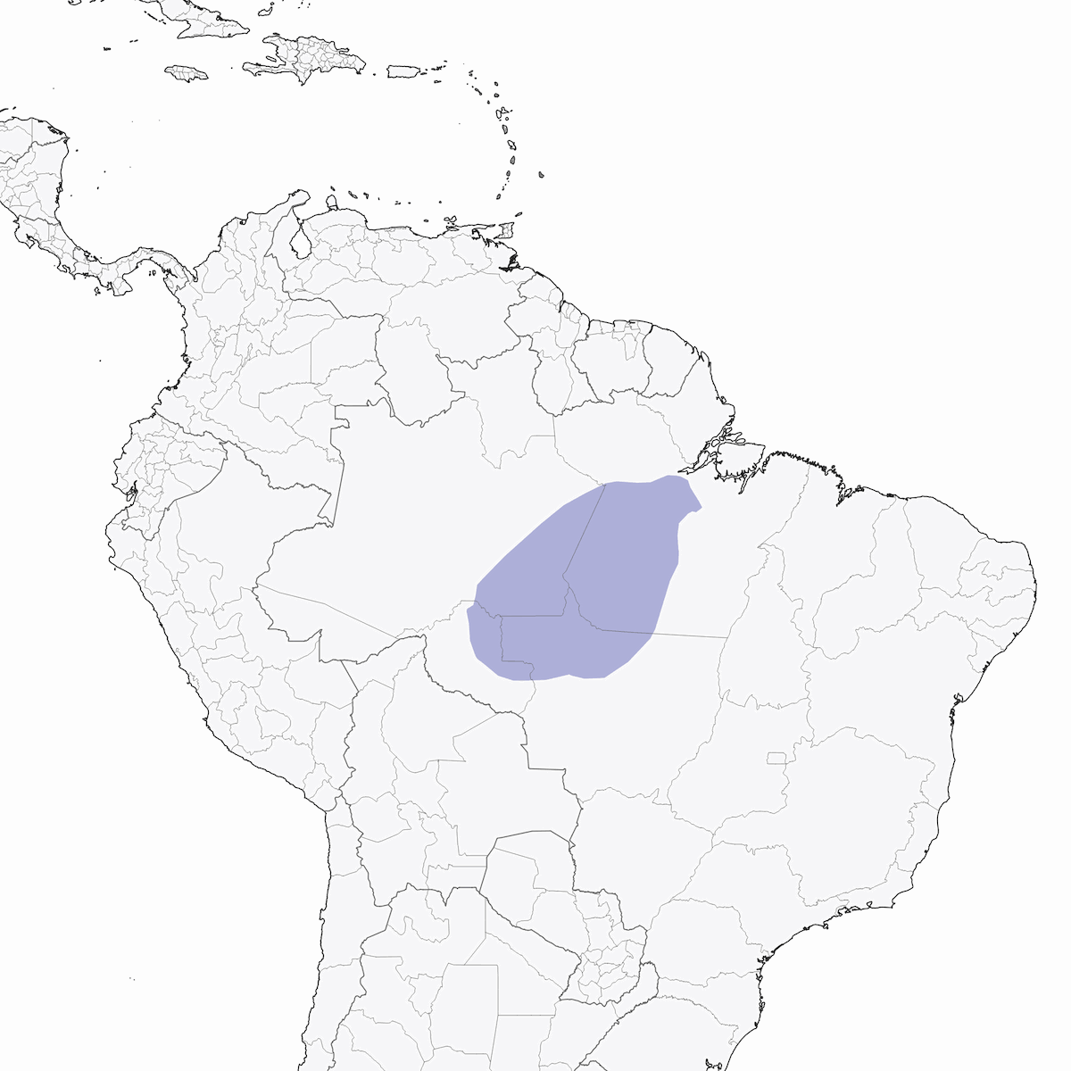 Beccodifalce di Tapajos, Distribuzione 1