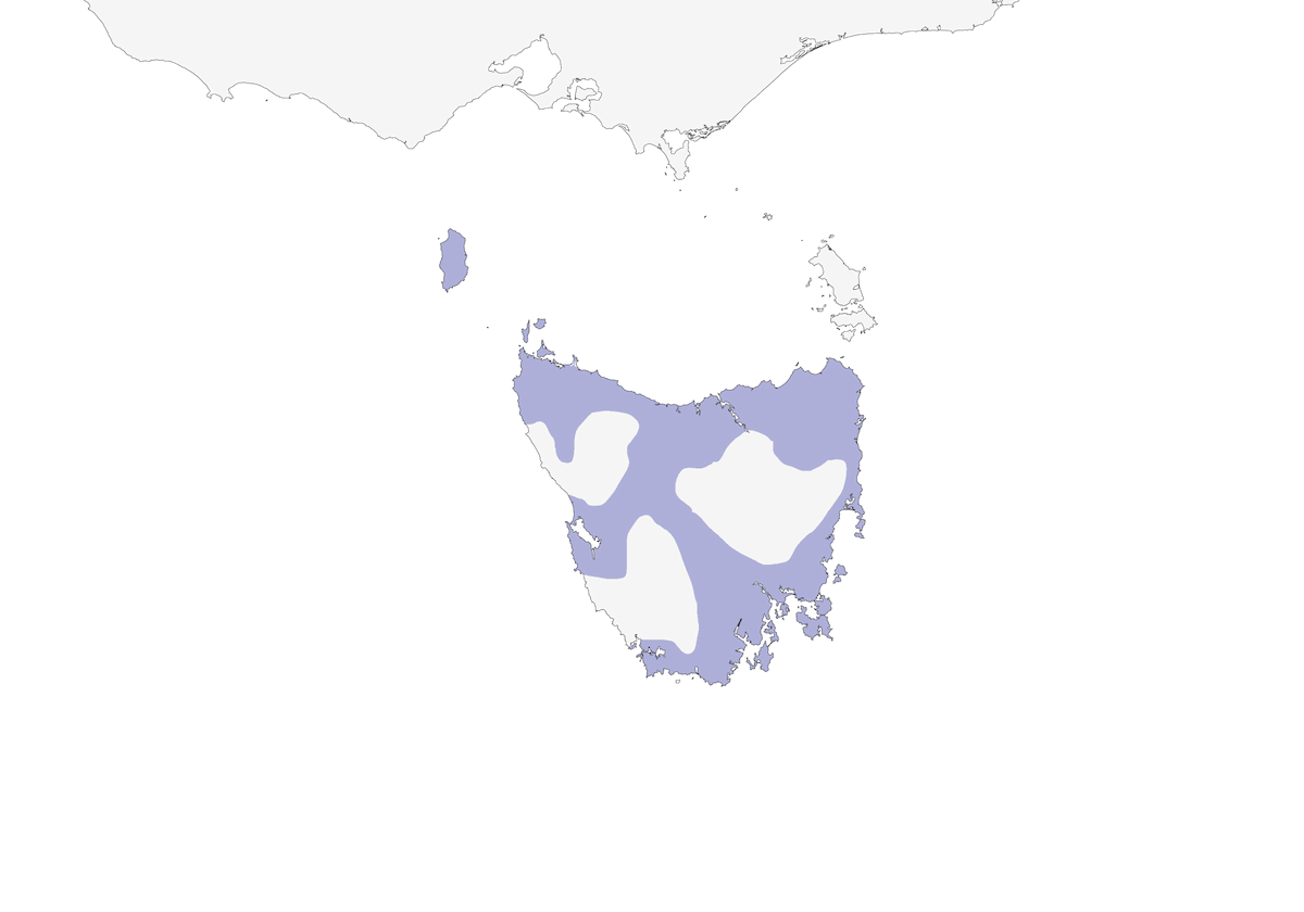 Tasmanien-Dickichtzaunkönig, Verbreitung 1