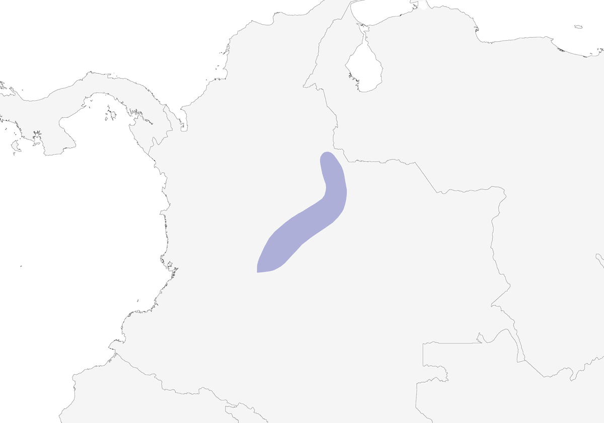 Boyaca Antpitta, Distribution 1
