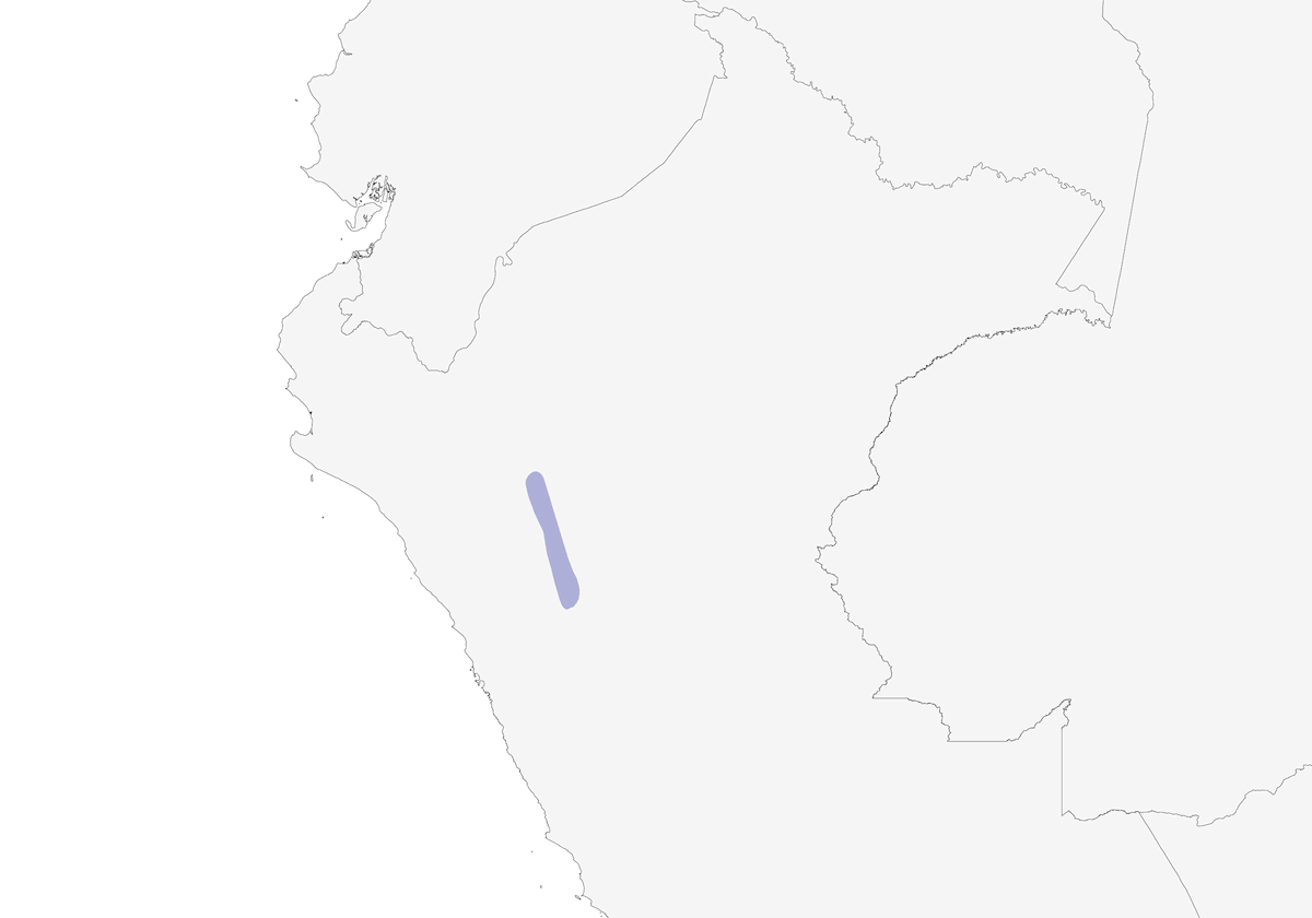 Tororoi de Atuén, Distribución 1