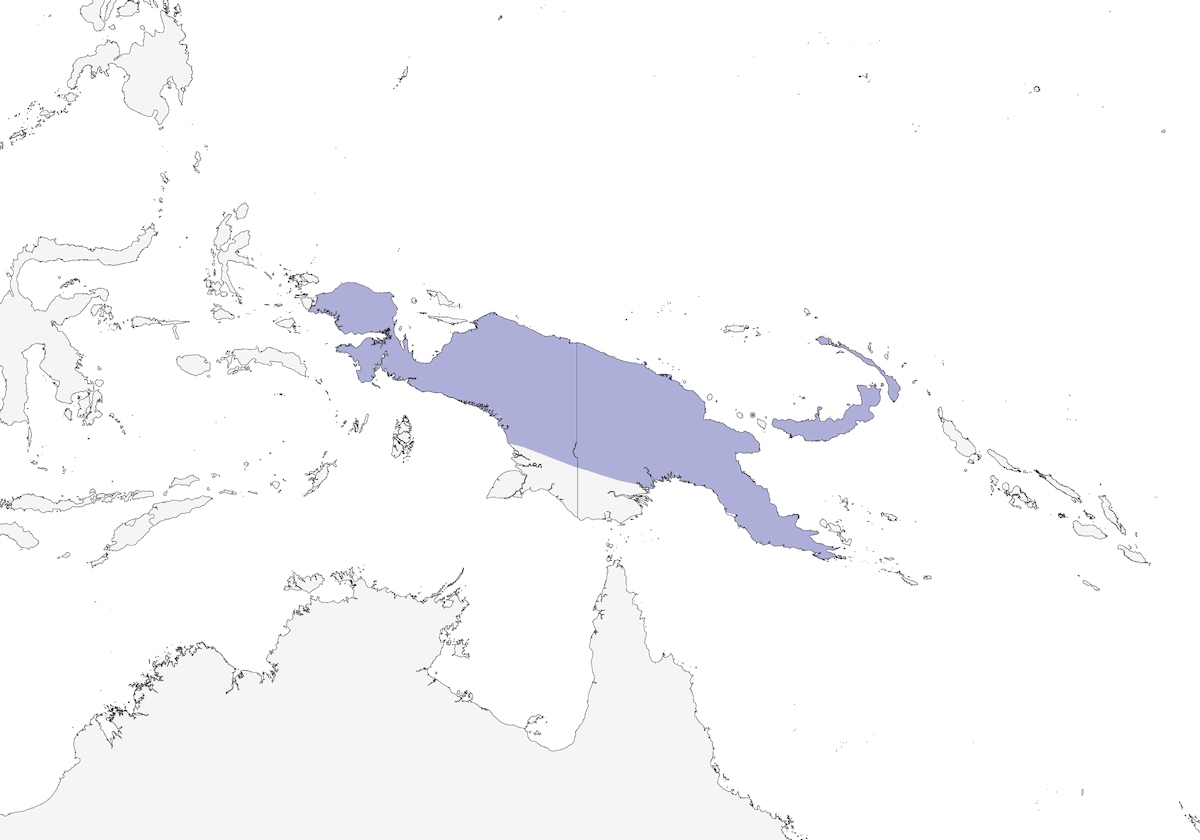 Zarzalero de Papúa, Distribución 1