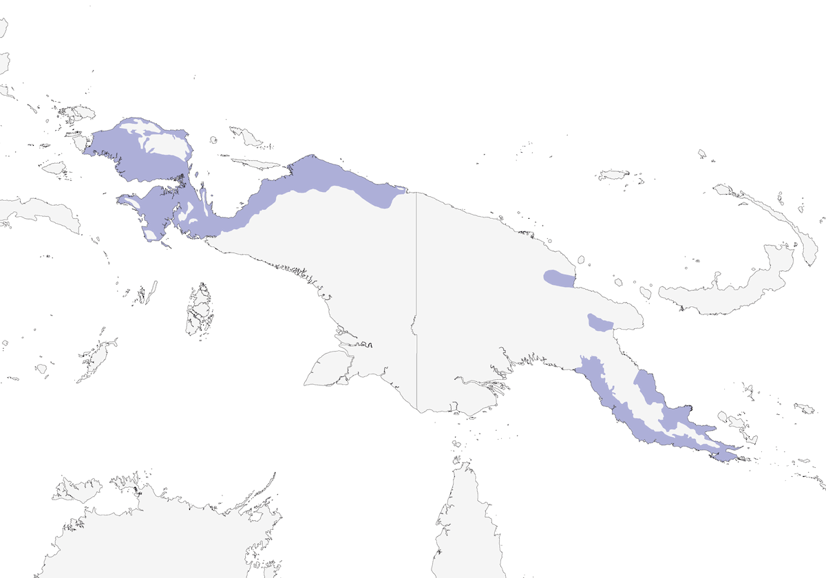 Tawny Straightbill, Distribution 1