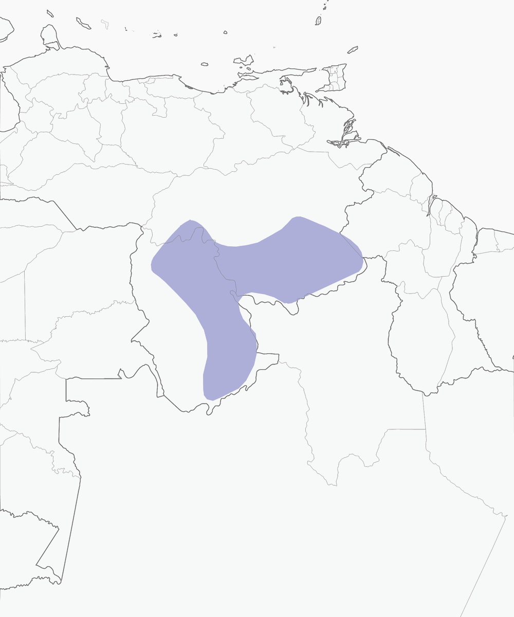 Pinzón de matorral del Tepuy, Distribución 1