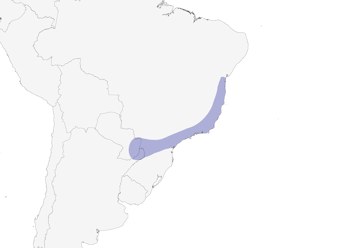 Fringuello di Temminck, Distribuzione 1