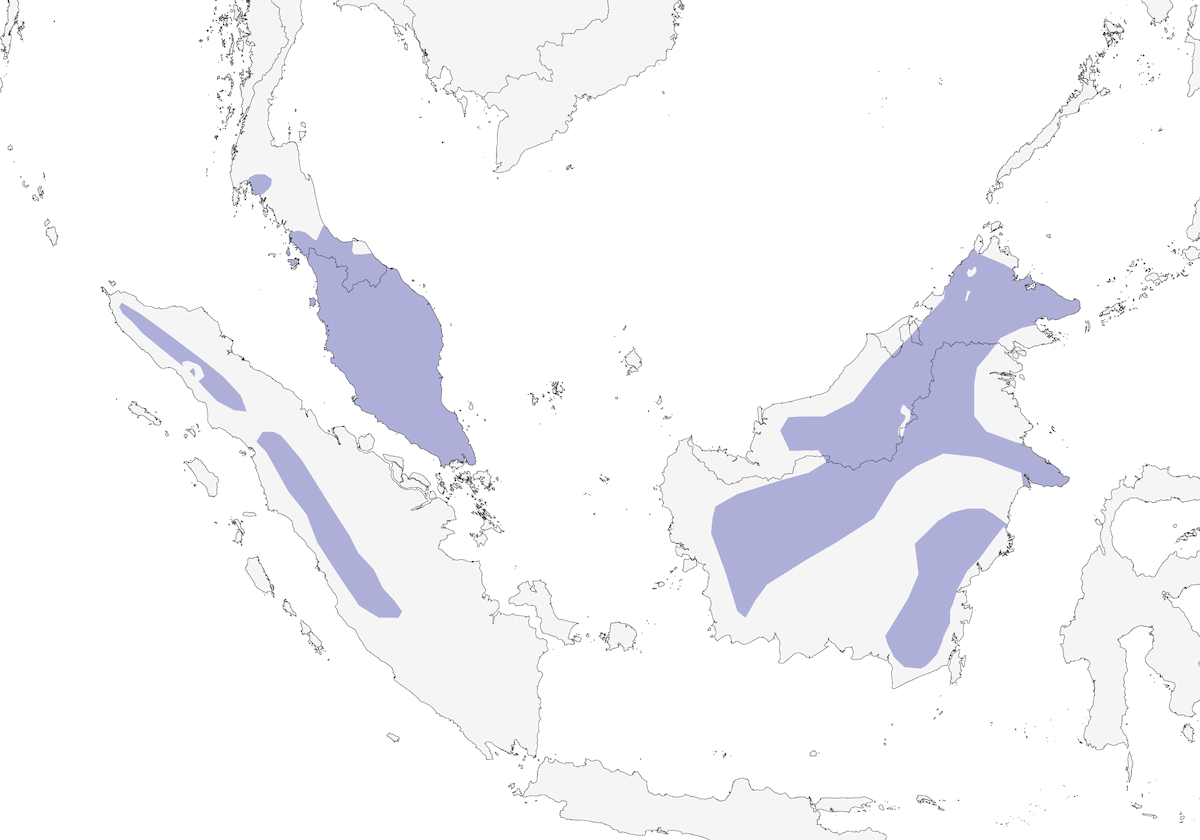 Nettarinia di Temminck, Distribuzione 1