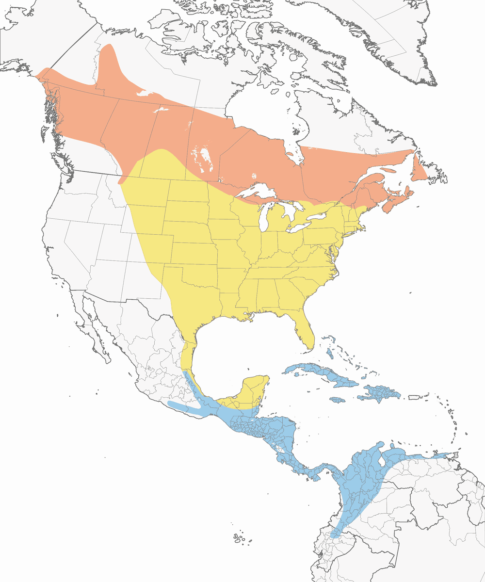 Tennessee Warbler, Distribution 1
