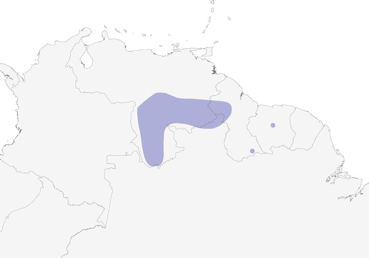 Tepui-Vireo, Verbreitung 1